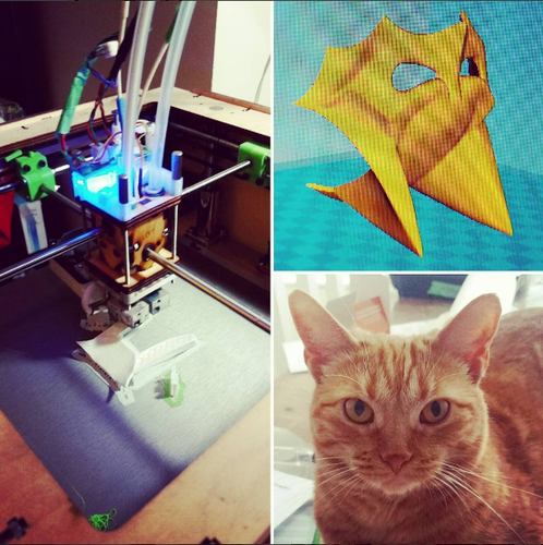 BatCat Mask 3D Print 82752