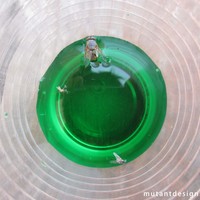Disposable Insect Trap - Thumbnail 4