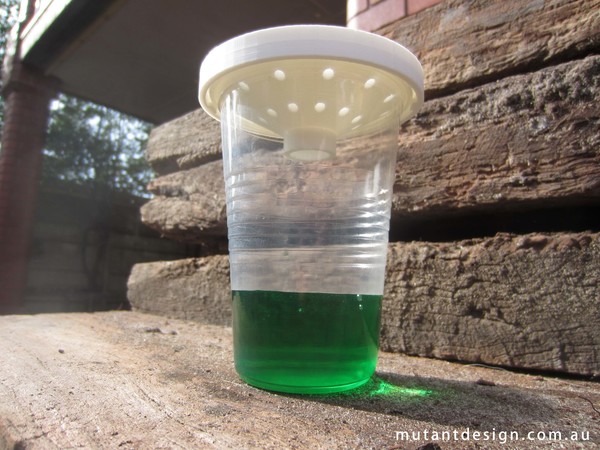 Disposable Insect Trap