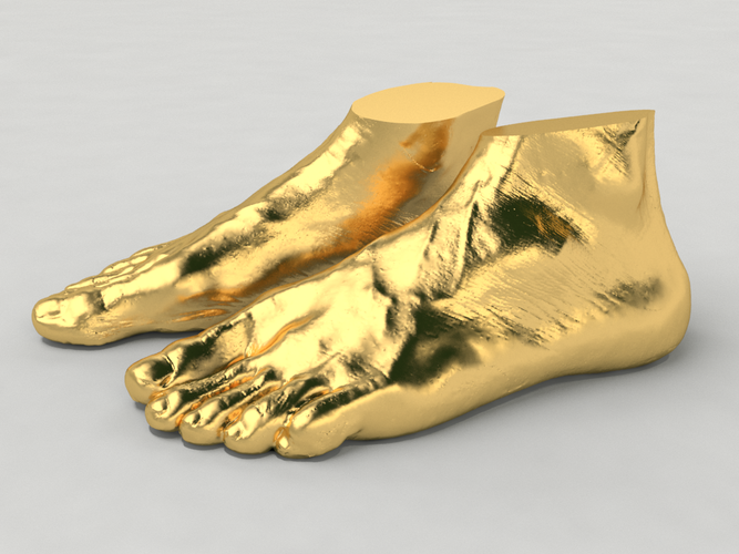 Scanned Foot 3D Print 83414