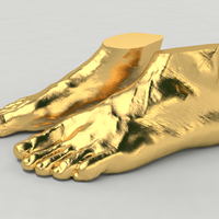 Small Scanned Foot 3D Printing 83414