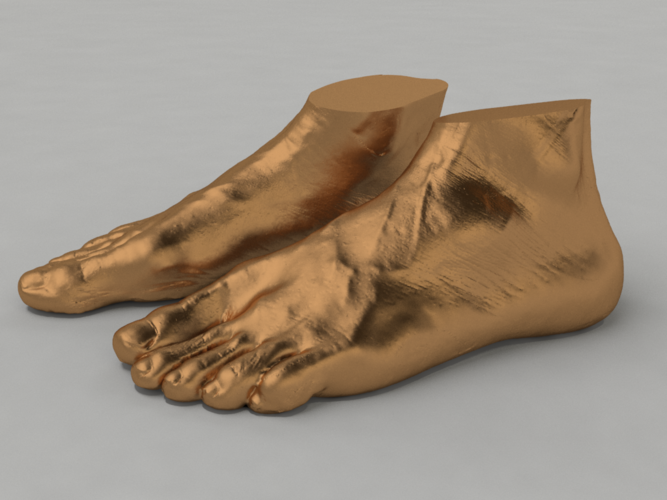 Scanned Foot 3D Print 83416