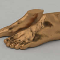 Scanned Foot - Thumbnail 3