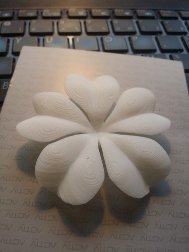 Magic Five-leaf clover 3D Print 83507