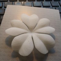 Magic Five-leaf clover - Thumbnail 1