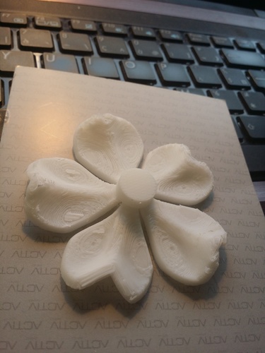 Magic Five-leaf clover 3D Print 83508