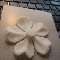 Magic Five-leaf clover - Thumbnail 2