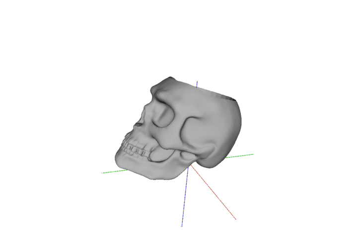 Dead Head Container 3D Print 83551