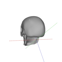 Dead Head Container - Thumbnail 3