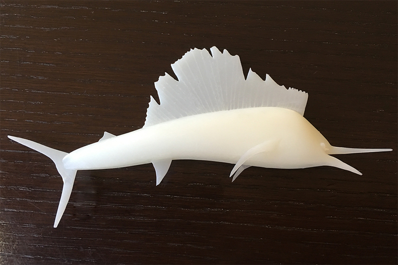 Sailfish