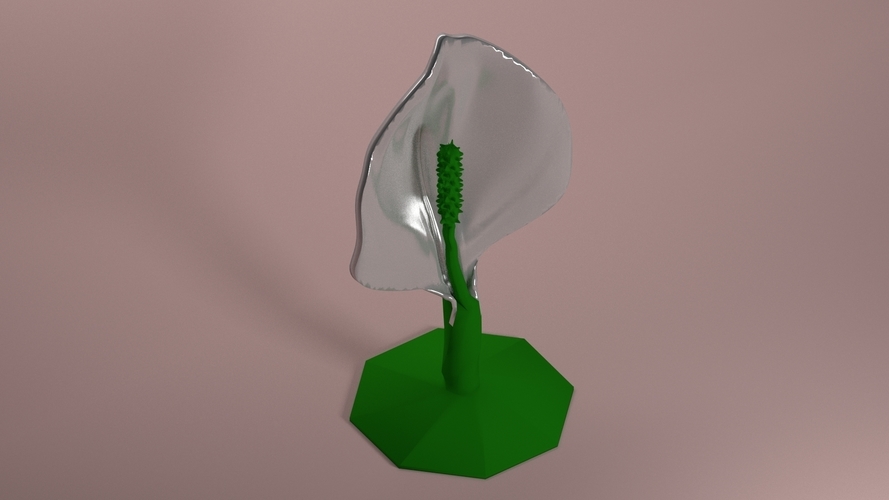 Spathiphyllum 3D Print 83696