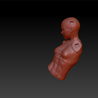 FIGHT GIRL - PRINTABLE PARTS + 4 BASES - Thumbnail 5