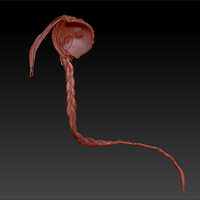 FIGHT GIRL - PRINTABLE PARTS + 4 BASES - Thumbnail 9