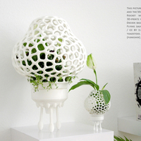 Mini Plant Space Rocket with Pot - Thumbnail 2