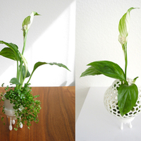 Mini Plant Space Rocket with Pot - Thumbnail 4