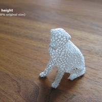 Voronoi Labrador Retriever Dog - Thumbnail 1