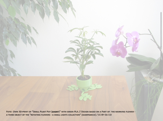 Small Plant Pot (long) 3D Print 84520