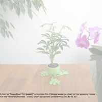 Small Plant Pot (medium) - Thumbnail 5
