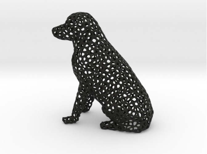 Voronoi Labrador Retriever Dog