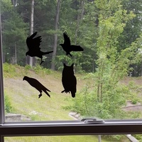 Bird Decals for Bird Safety - Thumbnail 1