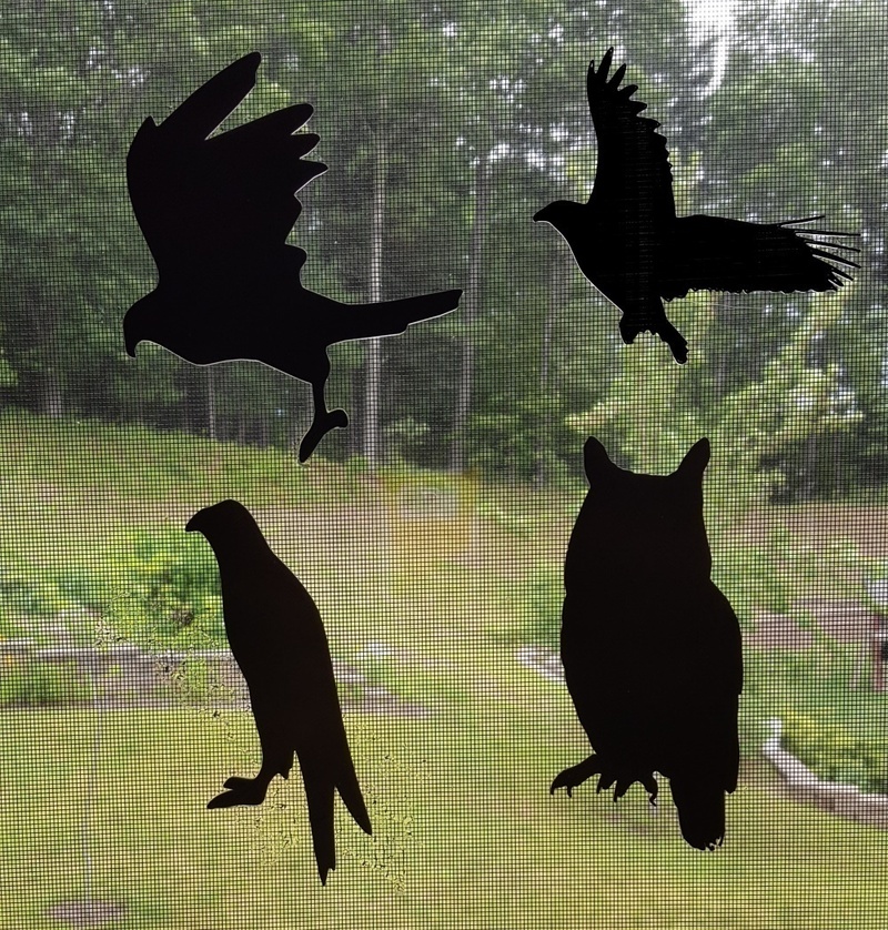 Bird Decals for Bird Safety