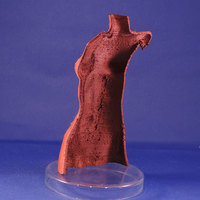 Skin - Thumbnail 2