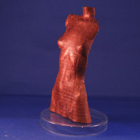 Skin - Thumbnail 4
