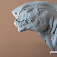Small Sharkasaurus Rex 3D Printing 85046