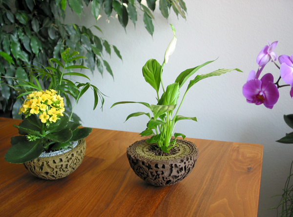 Guardians of the Galaxy Plant Pot
