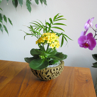 Guardians of the Galaxy Plant Pot - Thumbnail 2