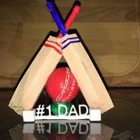 Small dad cricket 3D Printing 85102