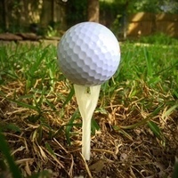 Small Golf Tee with a Twist 3D Printing 85237