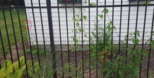 Image 85588