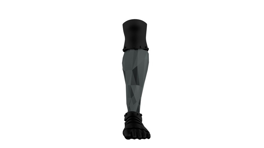 (Concept) Prosthetic Legs 3D Print 85971