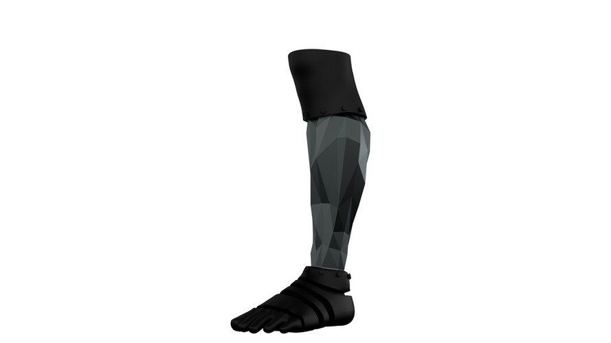 (Concept) Prosthetic Legs 3D Print 85973