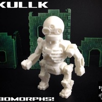 Small Skullk (RoboMorph) 3D Printing 86149