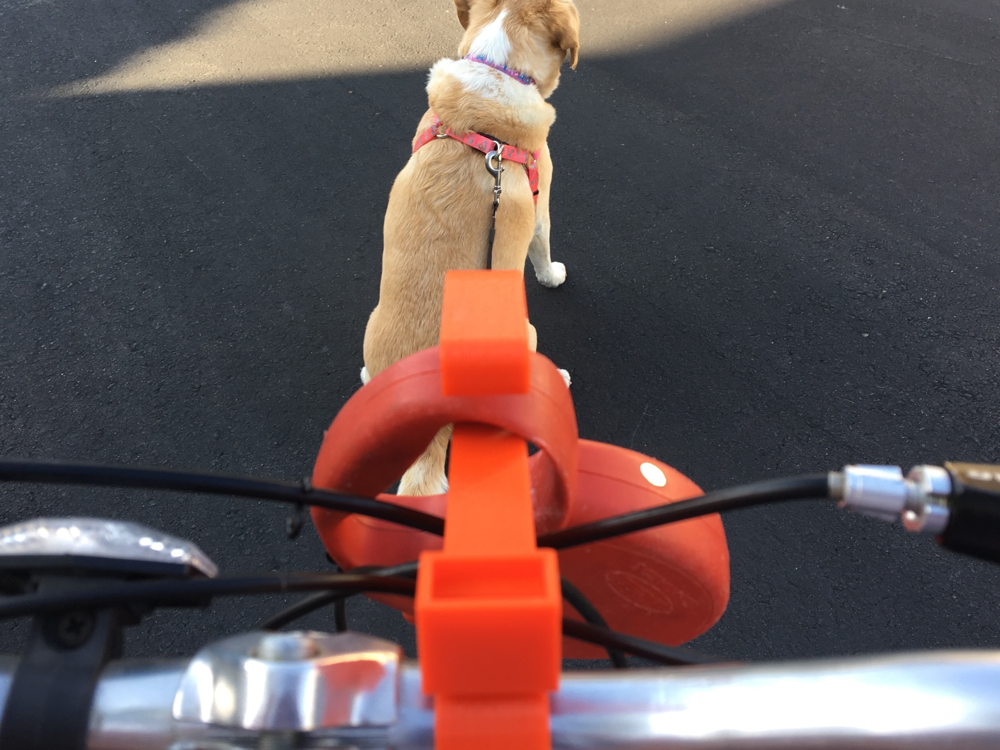 Dog leash holder for clearance bike