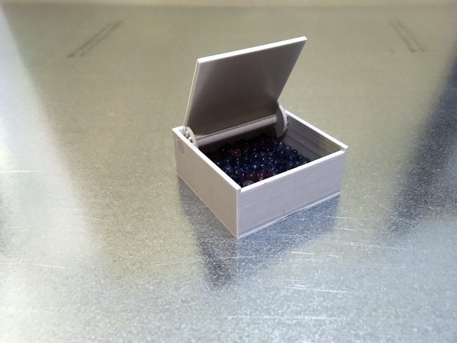 Box with ratchet hinge 3D Print 87862