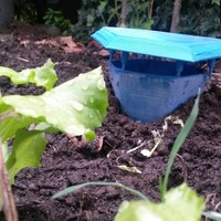 DRUNK SLUG TRAP - Thumbnail 4