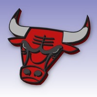 Chicago Bulls Logo - Thumbnail 3