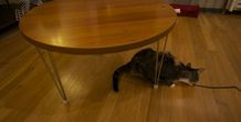 Image 88849