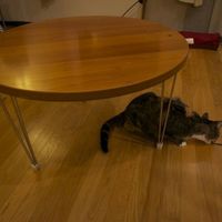 Coffee table foot - Thumbnail 2