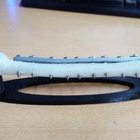 Hookys' Folly (Broken femur)  - Thumbnail 4