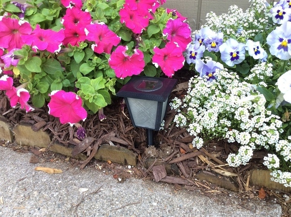 Sidewalk Lantern