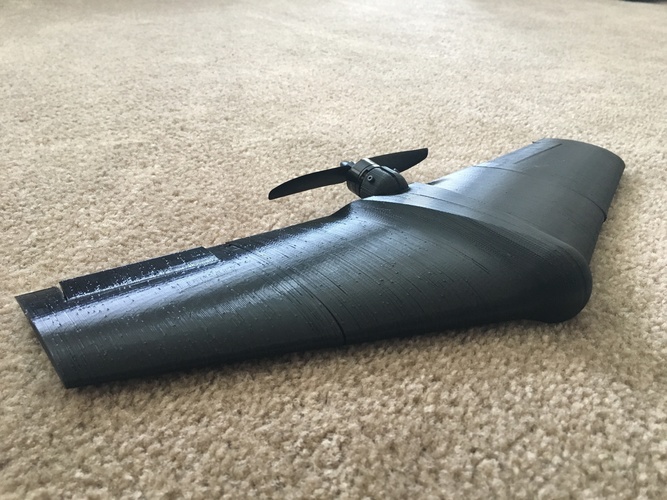 Fully Printed Flying Wing 3D Print 90143
