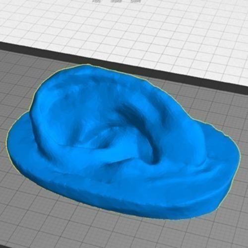 Human Ear 3D Print 90193