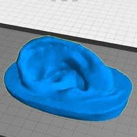 Small Human Ear 3D Printing 90193