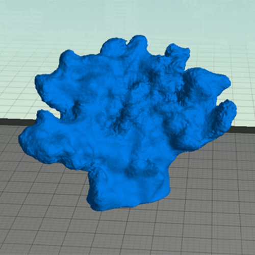 Coral 3D Print 90233