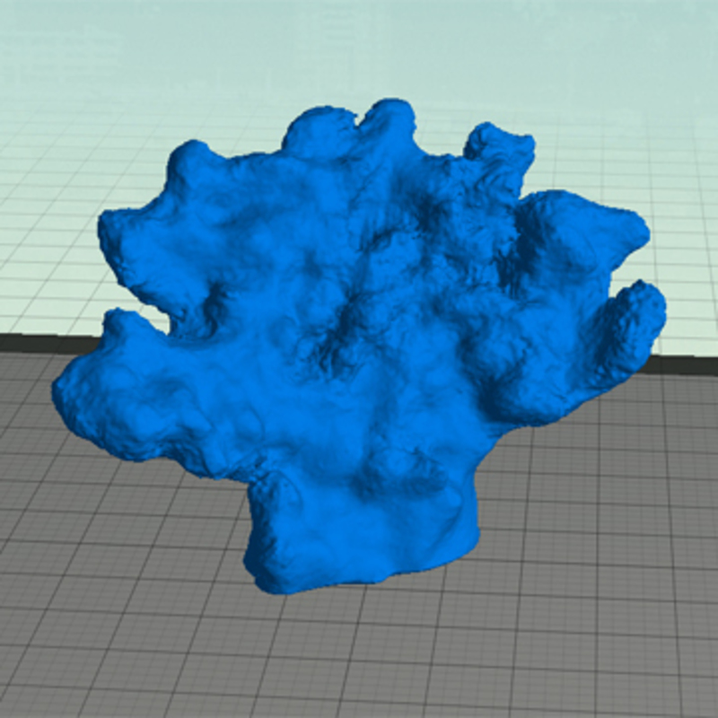 Coral