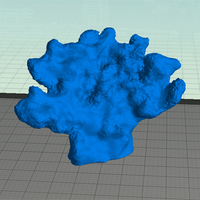 Small Coral 3D Printing 90233
